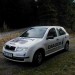 Fabia SDI