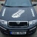 Fabia_RS